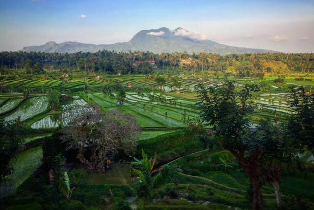 Bali