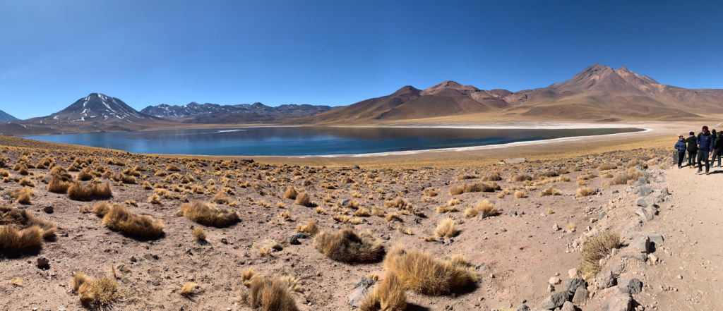 Laguna Miscanti in Atacama
