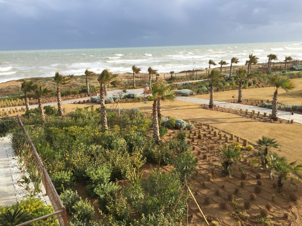 Tunisia coastline